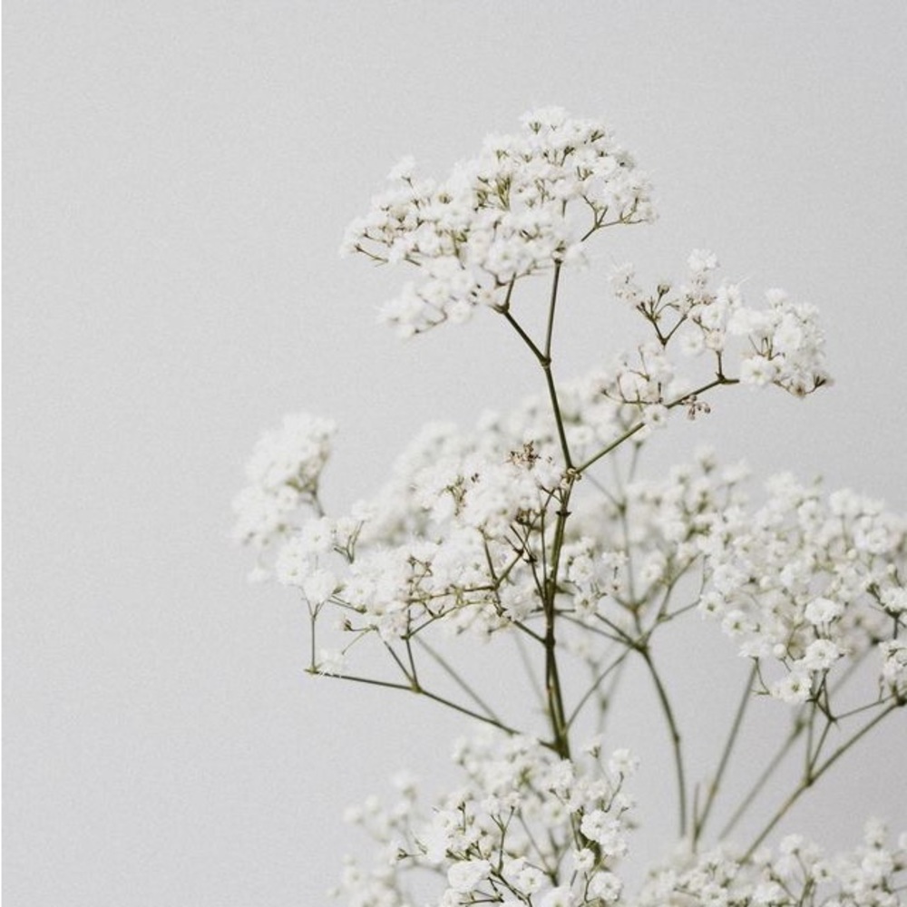 Meet your Posher, Bianca